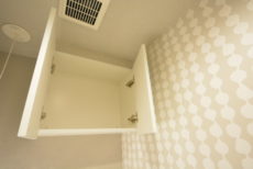 上野毛ハイム トイレ 上野毛ハイム トイレ