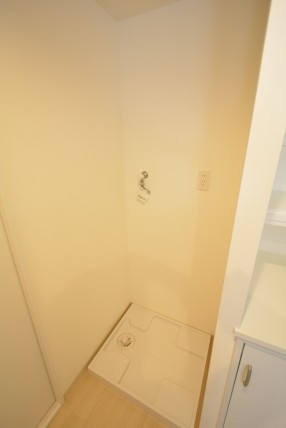 シャトレ市ヶ谷 洗面室