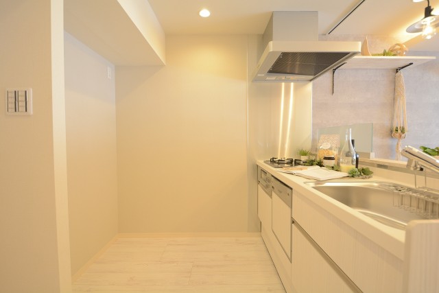 経堂ダイカンプラザⅡ