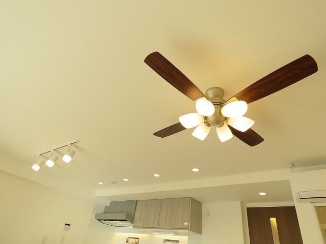 ライオンズマンション上野毛　照明