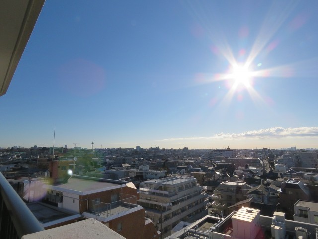 ライオンズマンション上野毛　眺望