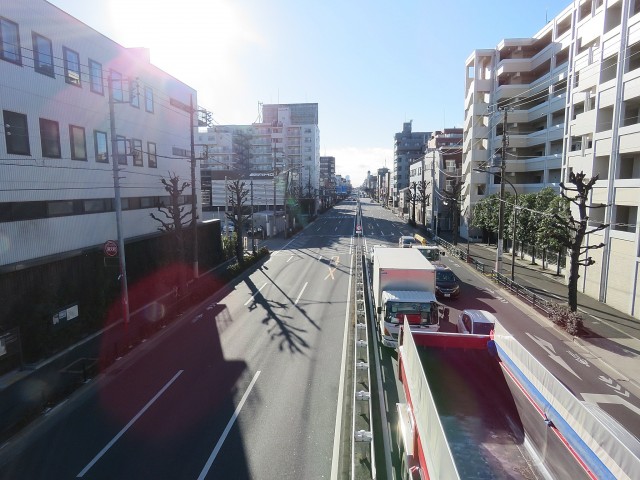 ライオンズマンション上野毛　前面道路
