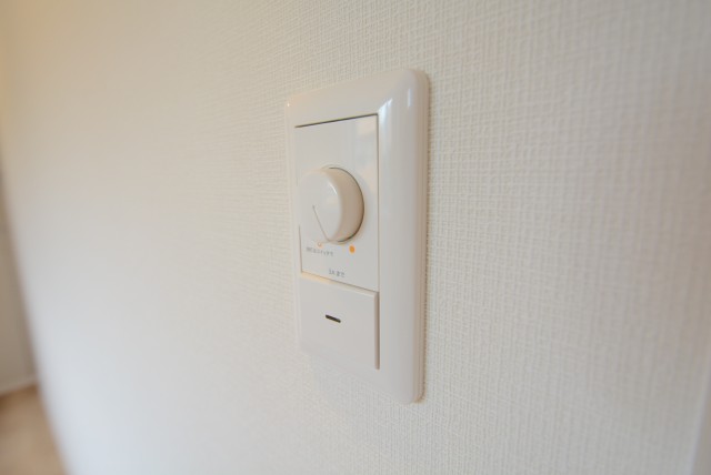 ハイネス大久保 洋室1