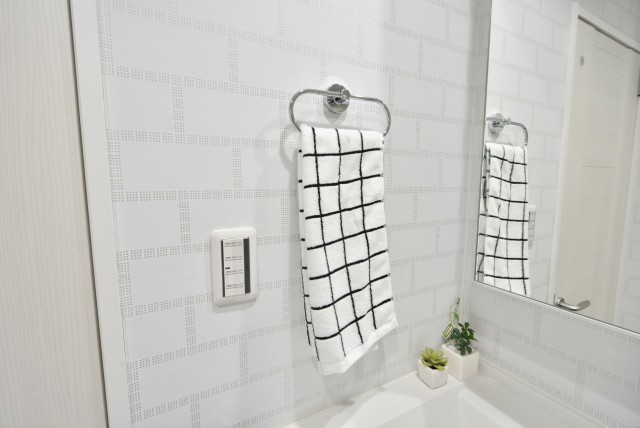 秀和代官山レジデンス (70)洗面台