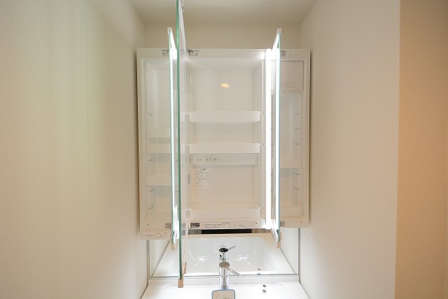 東山コーポラス 洗面