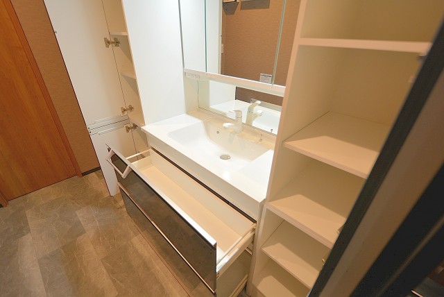 青山ザ・タワー 洗面