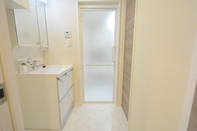 シャトレ市ヶ谷 洗面