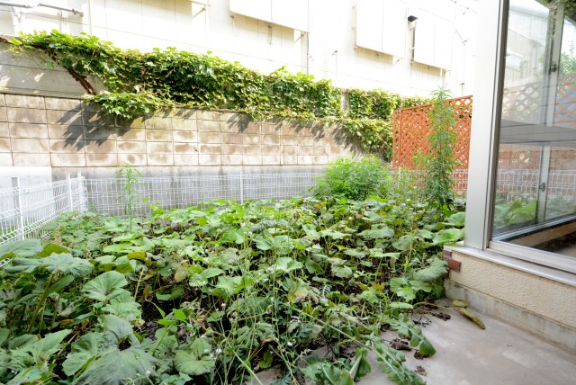 ライオンズマンション桜新町 庭