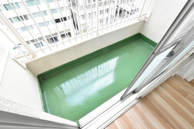 メゾンドール高田馬場 洋室2