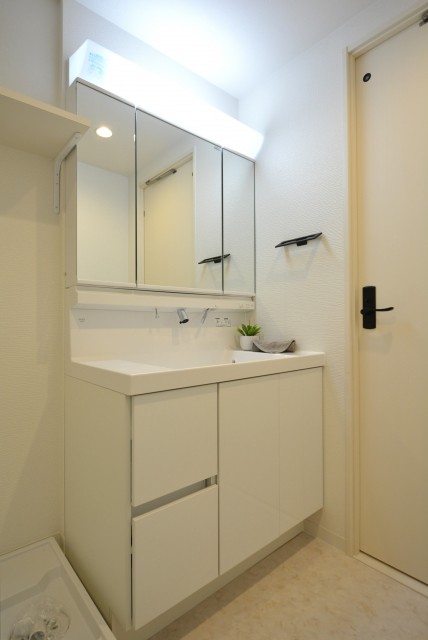 シティコープ豊洲 洗面室