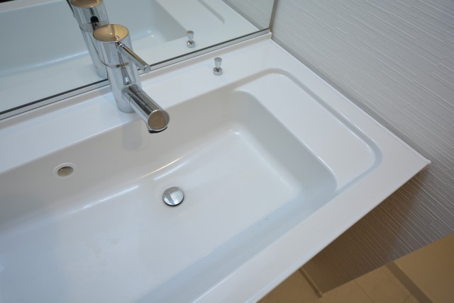 ハイネス大久保 洗面室