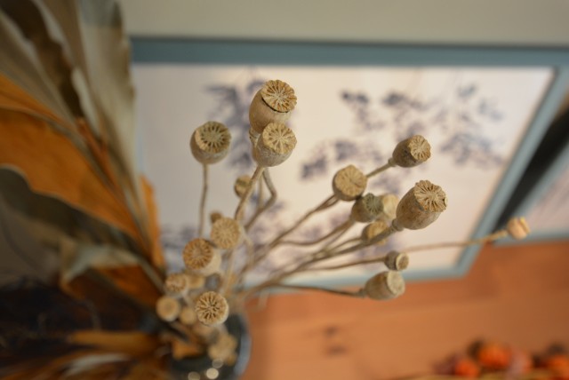 ライオンズマンション桜新町 リビング