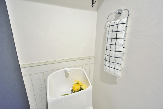 秀和代官山レジデンス (76)トイレ