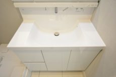 上野毛ハイム 洗面室 上野毛ハイム 洗面室