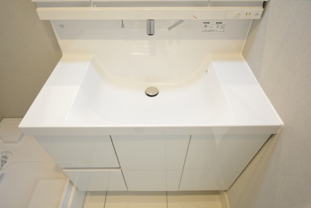 上野毛ハイム 洗面室