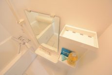 グランドメゾン新宿東 浴室