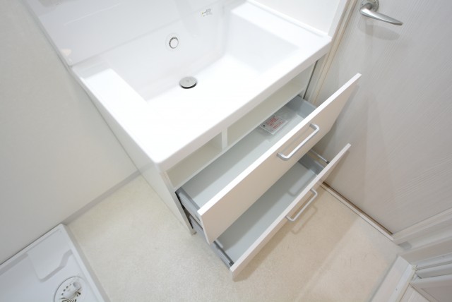 二子玉川ロイヤルマンション 洗面室