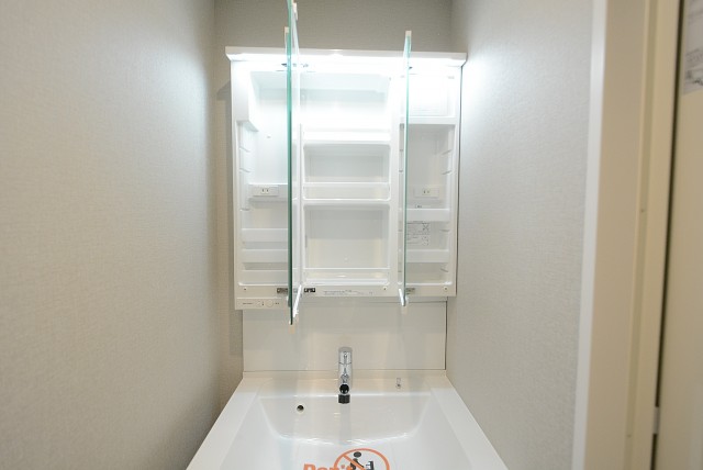 藤和大蔵コープ 洗面