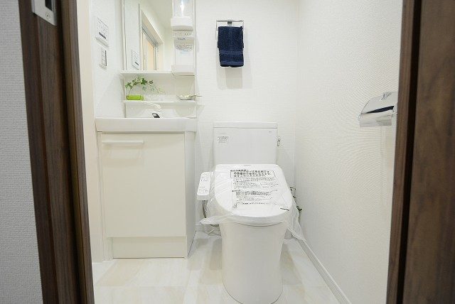 グランドメゾン新宿東 洗面室