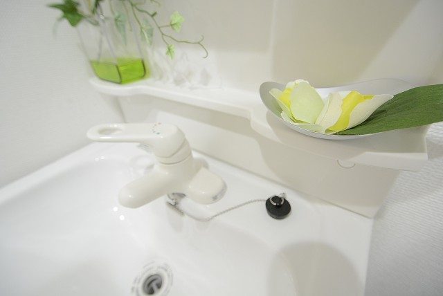 グランドメゾン新宿東 洗面室