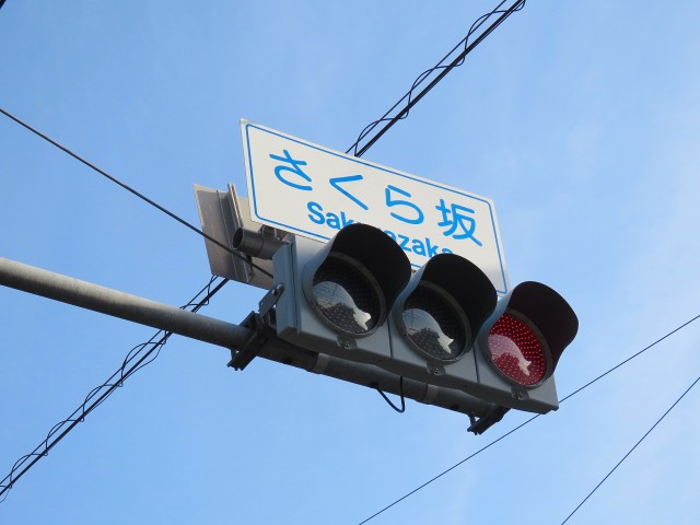 田園調布コーポラス　周辺