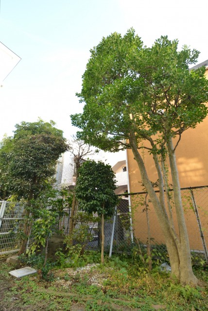 二子玉川ロイヤルマンション 専用庭