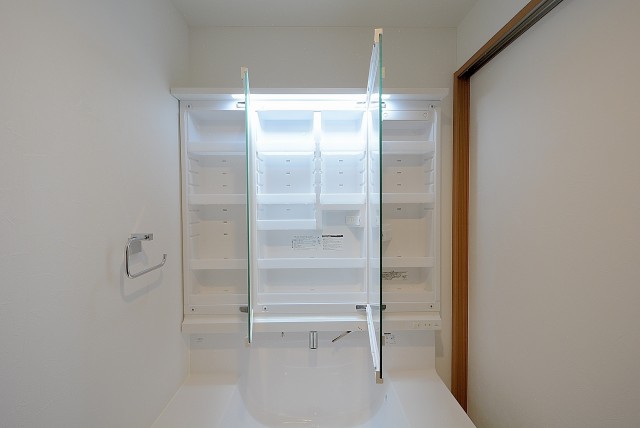 藤和目黒ホームズ 洗面