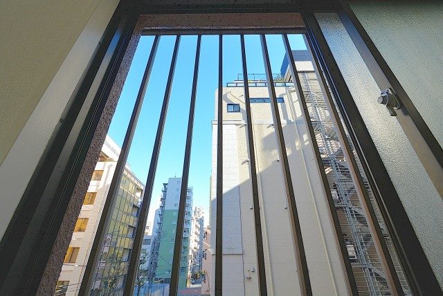 グランドメゾン新宿東 眺望