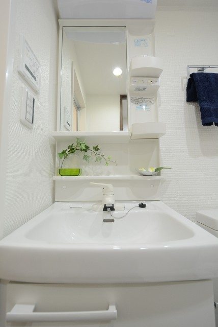 グランドメゾン新宿東 洗面室