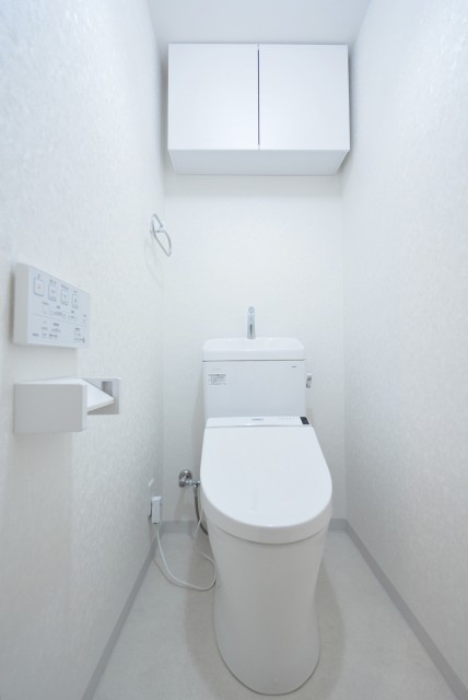 二子玉川ロイヤルマンション トイレ