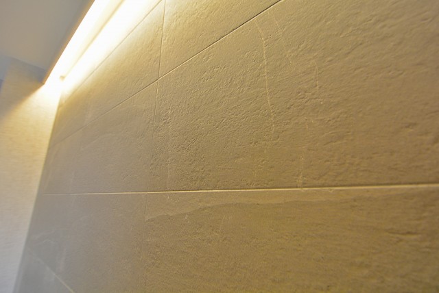 藤和目黒ホームズ 洋室10.0