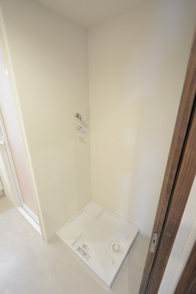 キャッスル共進 洗面室