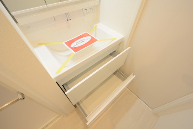 ライオンズマンション学芸大学 洗面室