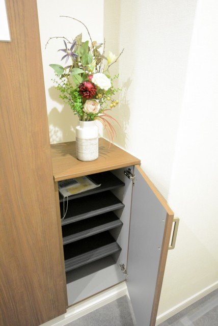 キャッスル共進 玄関