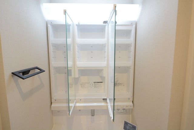 ライオンズマンション学芸大学 洗面室