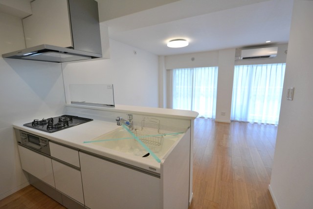 神楽坂ハウス LDK