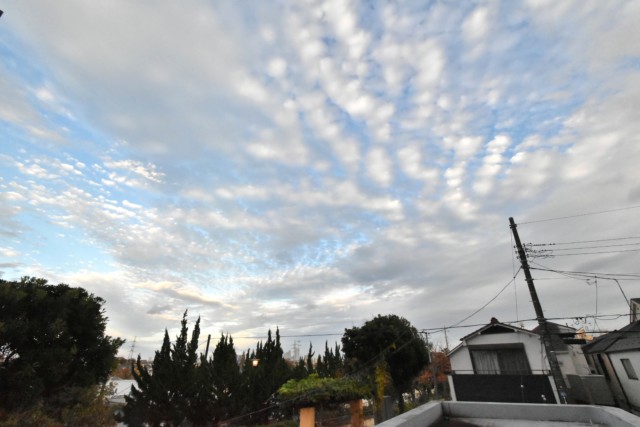 カーサ桜上水 バルコニー