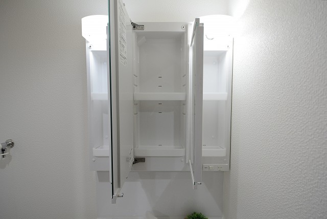 ライオンズマンション桜上水 洗面