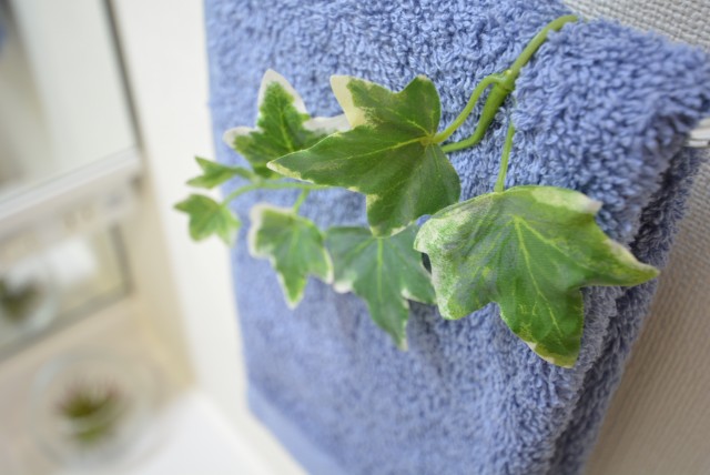 キャッスル共進 洗面室