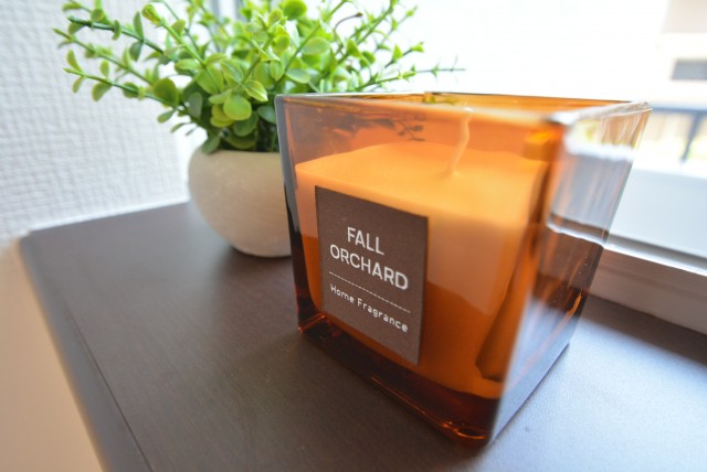 マンション雅叙苑 洋室1