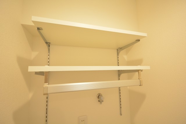 ライオンズマンション学芸大学 洗面室