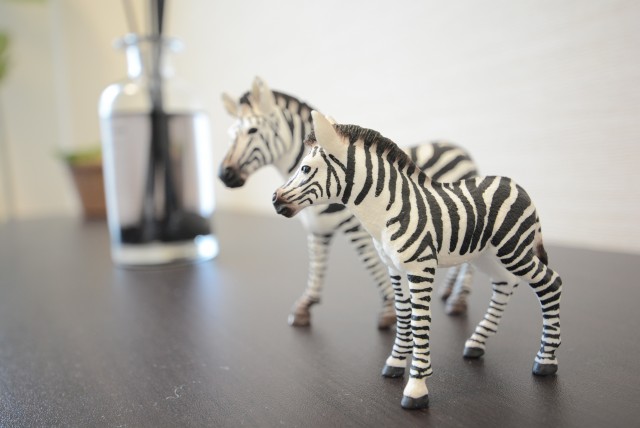 ライオンズマンション学芸大学 洋室2