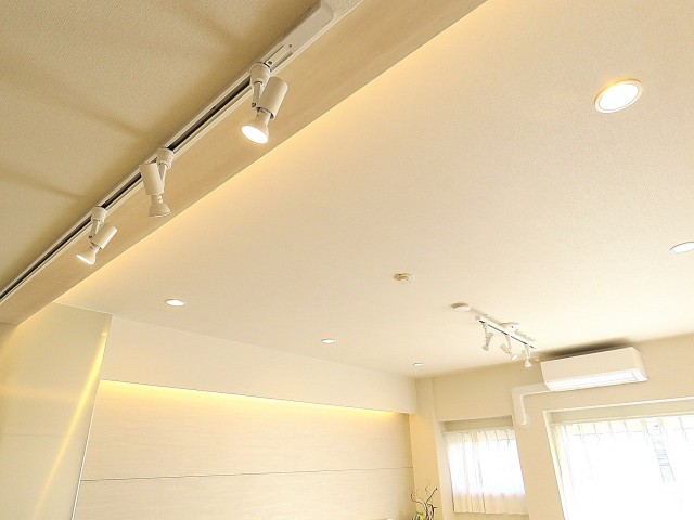 キャッスル共進マンション　照明