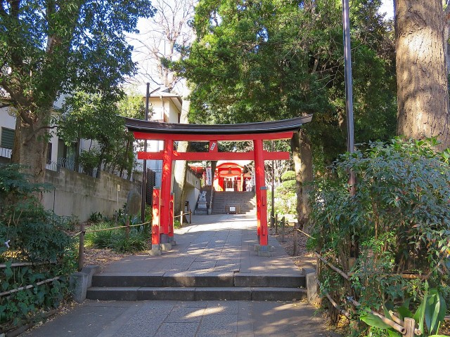 マートルコート自由が丘Ⅱ　周辺