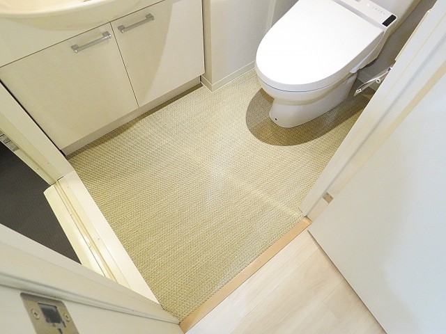 コージーコート二子玉川 洗面室 コージーコート二子玉川 洗面室