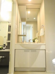コージーコート二子玉川 洗面化粧台 コージーコート二子玉川 洗面化粧台