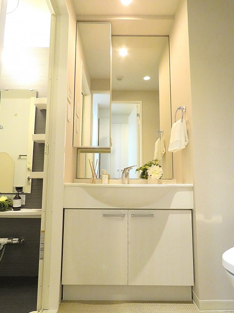 コージーコート二子玉川　洗面化粧台