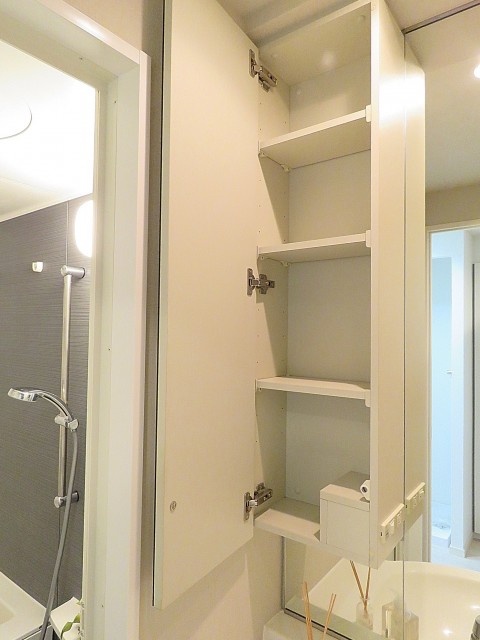 コージーコート二子玉川　洗面化粧台