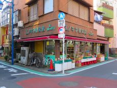 コージーコート二子玉川 周辺 コージーコート二子玉川 周辺