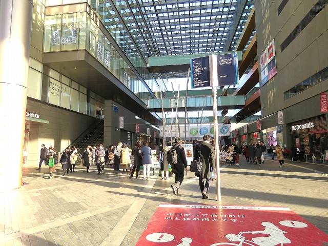 コージーコート二子玉川 周辺 コージーコート二子玉川 周辺